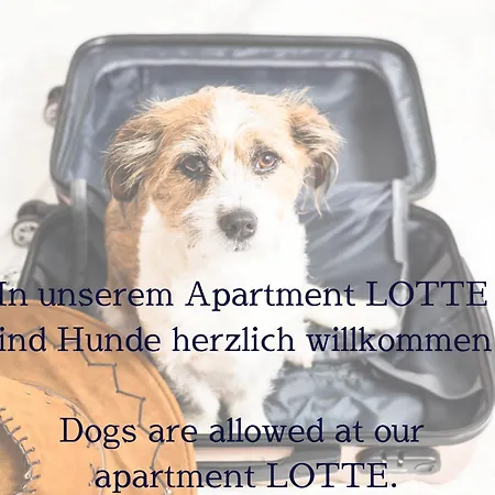 June Stilvolle Neue In - Zentral, Kostenfrei Parken, 2 Schlafzimmer Lejlighed