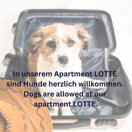 June Stilvolle Neue In - Zentral, Kostenfrei Parken, 2 Schlafzimmer *