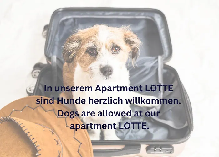 June Stilvolle Neue In - Zentral, Kostenfrei Parken, 2 Schlafzimmer *